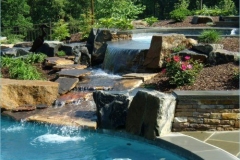 Free Form Pools Gallery