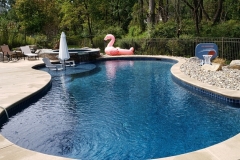 Free-Form-Pools13