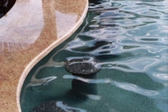 Water-Features-Options-Gallery49